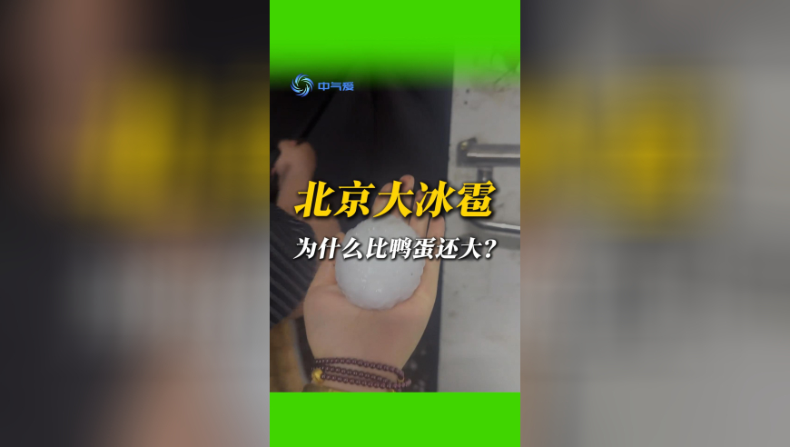 白小姐期期准比选一肖,仙台有树开虐了,决策资料解释落实_精英版V14.68