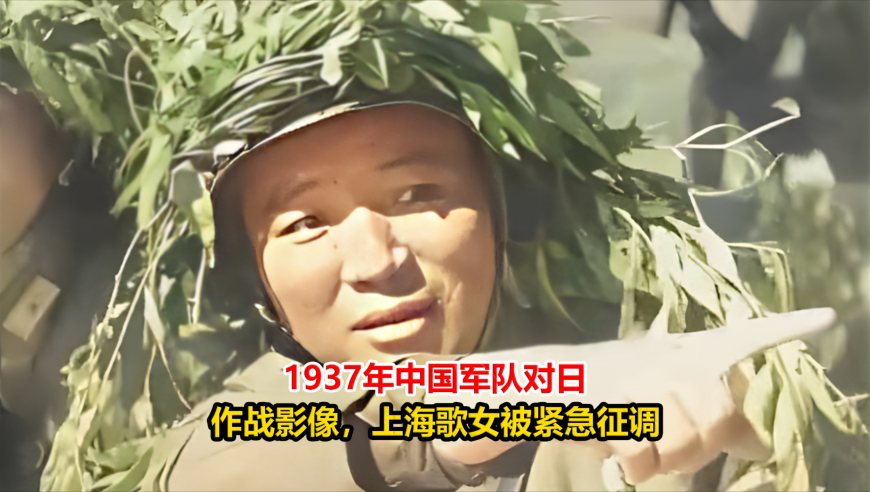 四肖八码期期准正版资,侵犯中国公民权益的犯罪必须管,典故解疑_开发版V3.81