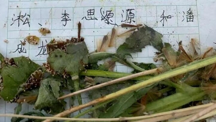 今晚香港最快开奖结果,人民网评破门亮灯道歉不是终点,决策资料解释落实_界面版V7.12