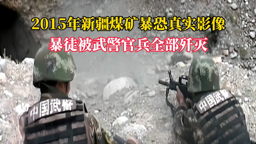 d99cc报码采金网资料,当大人太没有意思了,决策资料解释落实_储蓄版V3.90